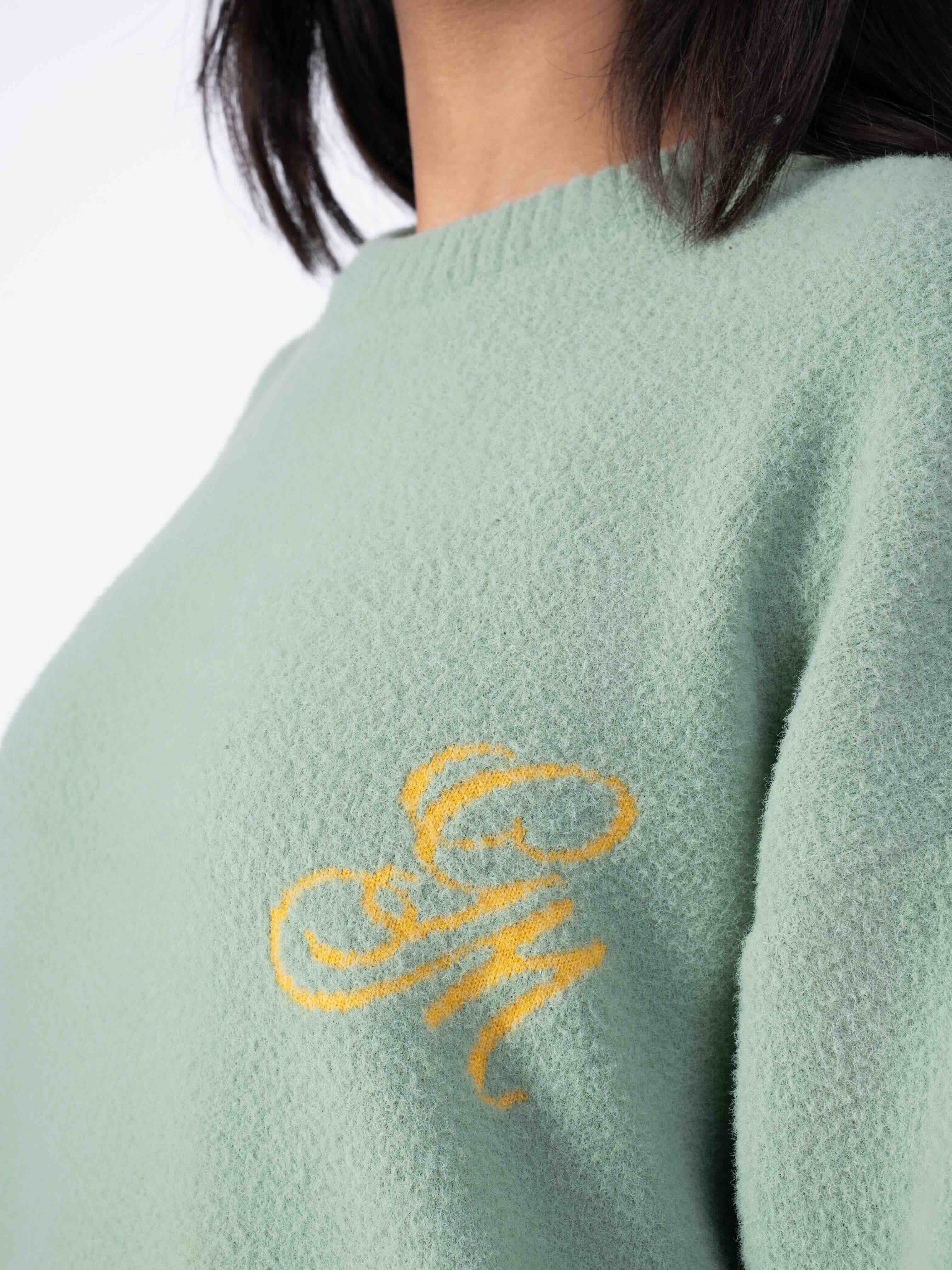 PASTEL GREEN SWEATER